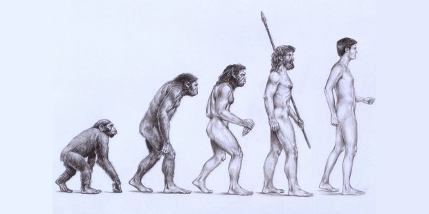 iki ayak üstünde yürüme evrim ile ilgili görsel sonucu